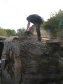 Sawmilling